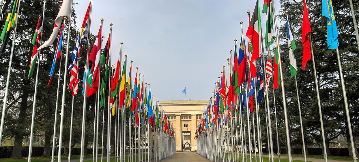 Conseil des droits de l'homme des Nations unies