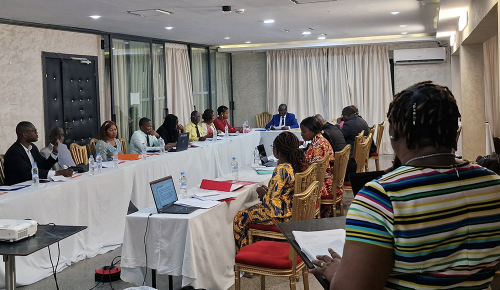 Formation sur les TIG en Côte d'ivoire