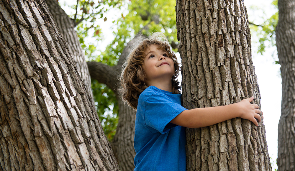 enfant dans un arbre